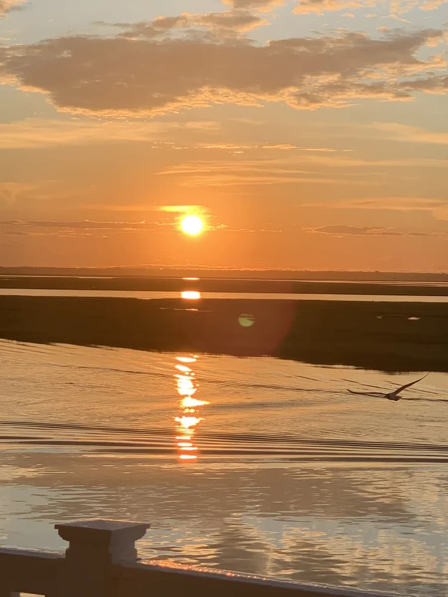 Sunset over the bay, a gull skimming low across the water and the sun's reflection running down the channel